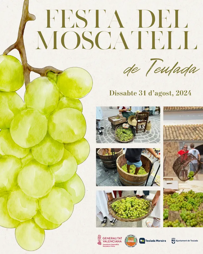 Dégustation de vin et présentation culinaire lors d’Alere/Dolia à Moraira 2026
